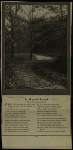 A wood road