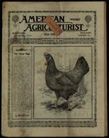 Last night in dreams