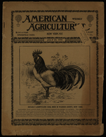 The story of Uncle Dick