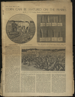 How we went to the wedding