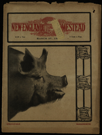 How Grandma ran away