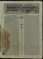 The romance of Aunt Beatrice