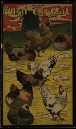 The pursuit of the ideal