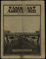 The jewel of consistency