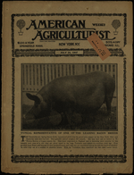 The end of a quarrel