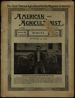 The nuisance of women