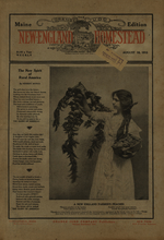 The Five-thirty train