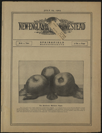 Trouble in the kitchen